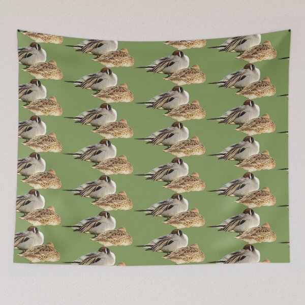Item preview, Resting Pintail Pair  designed and sold by Dalyndigital Photography.