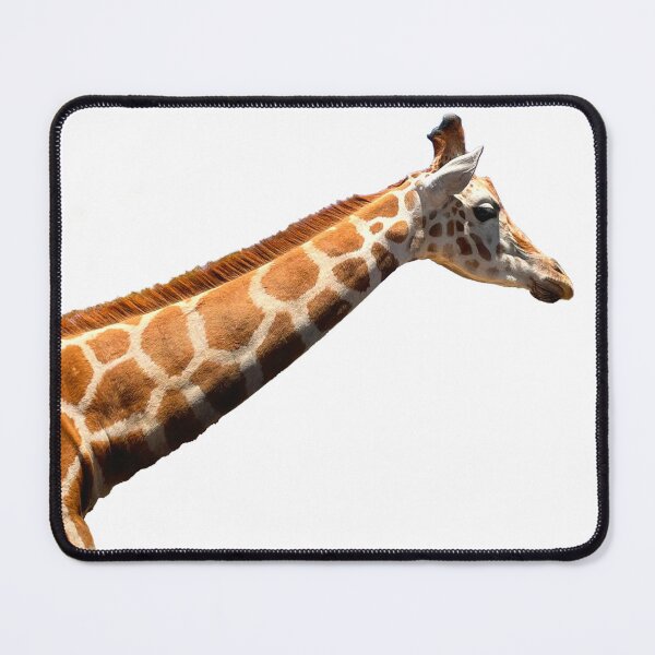 Item preview, Cute Giraffe photo designed and sold by hollycooper.