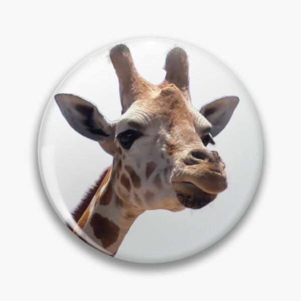 Item preview, Cute Giraffe photo  designed and sold by hollycooper.