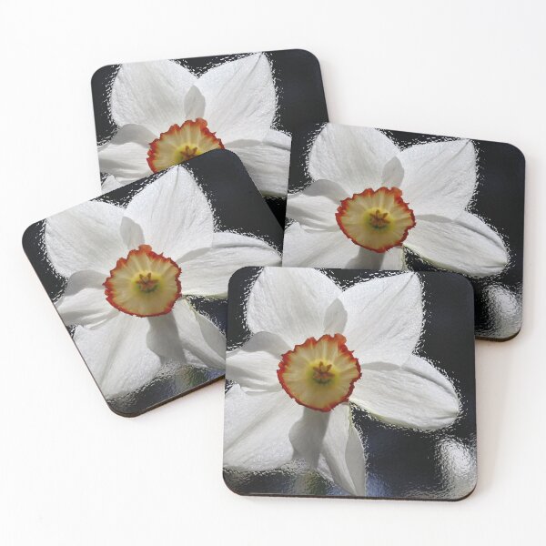 Item preview, White Daffodil  designed and sold by BostonArcImage.