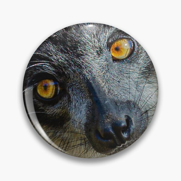 Item preview, Laid back Lemur designed and sold by Dalyndigital Photography.