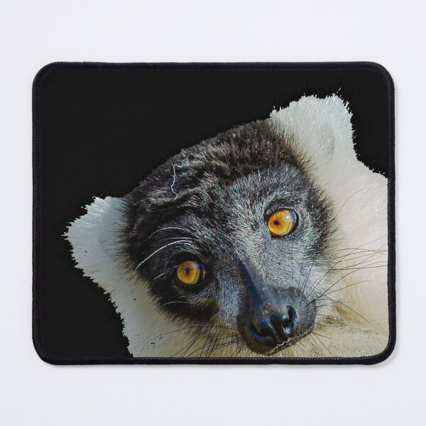 Item preview, Laid back Lemur designed and sold by Dalyndigital Photography.