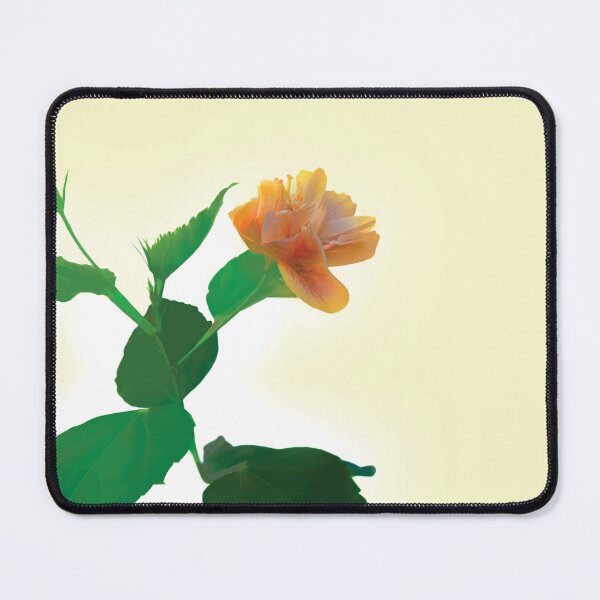 Item preview, Peachy Hibiscus designed and sold by Kay Brewer.