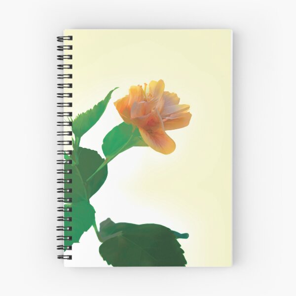 Item preview, Peachy Hibiscus designed and sold by Kay Brewer.