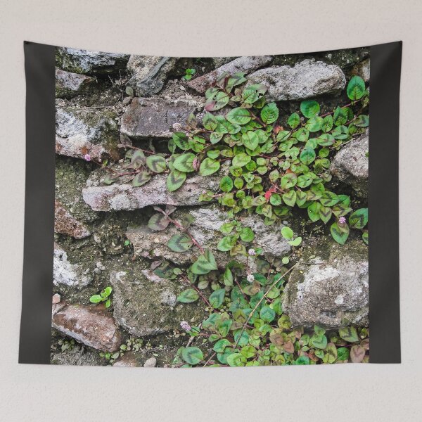 Item preview, Ancient Stones and Ivy, Guatemala designed and sold by heatherfriedman.