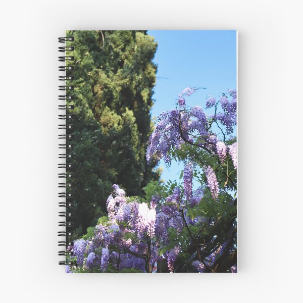 Item preview, Wisteria Bloom at Castello di Vezio, Lake Como Photography Art designed and sold by inallusha.
