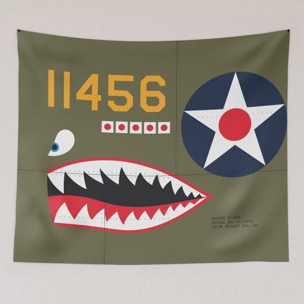 Item preview, USA P-40 Aircraft Markings designed and sold by VoodooCircus.