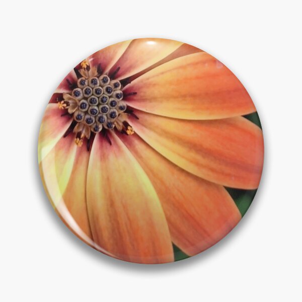 Item preview, Golden orange Osteospermum close up designed and sold by  Wild Aura.