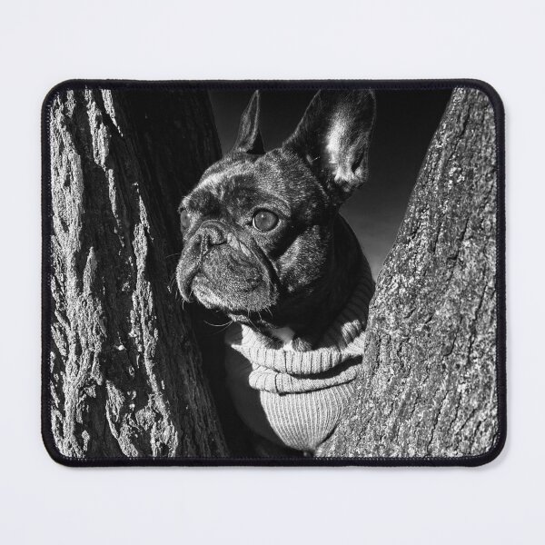 Item preview, Faye on the Lookout designed and sold by PementPhotoArt.