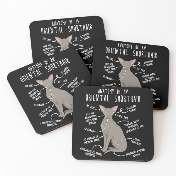 Item preview, Lavender Oriental Shorthair Cat Anatomy designed and sold by Clara Hollins.