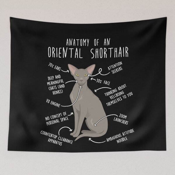 Item preview, Lavender Oriental Shorthair Cat Anatomy designed and sold by Clara Hollins.