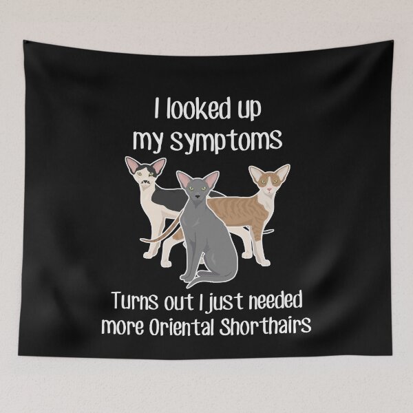Item preview, Oriental Shorthair Cat Need More designed and sold by Clara Hollins.