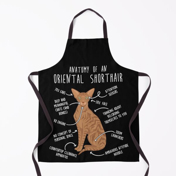 Item preview, Red Tabby Oriental Shorthair Cat Anatomy designed and sold by Clara Hollins.