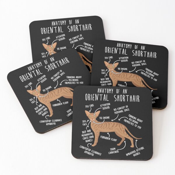 Item preview, Red Tabby Oriental Shorthair Cat Anatomy designed and sold by Clara Hollins.