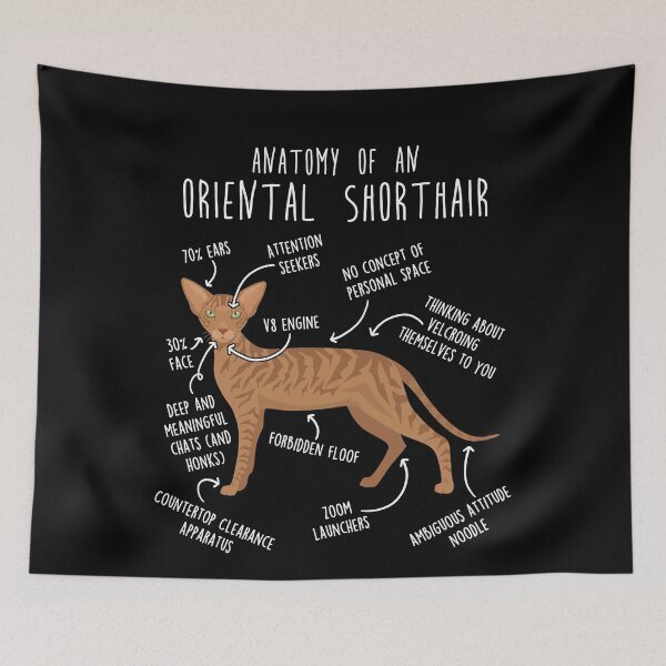 Item preview, Red Tabby Oriental Shorthair Cat Anatomy designed and sold by Clara Hollins.