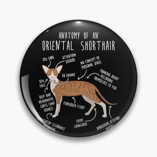 Item preview, Red Tabby Oriental Shorthair Cat Anatomy designed and sold by Clara Hollins.