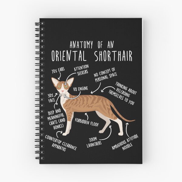 Item preview, Red Tabby Oriental Shorthair Cat Anatomy designed and sold by Clara Hollins.