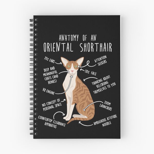 Item preview, Red Tabby Oriental Shorthair Cat Anatomy designed and sold by Clara Hollins.