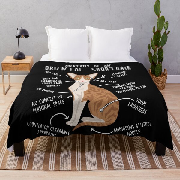 Item preview, Red Tabby Oriental Shorthair Cat Anatomy designed and sold by Clara Hollins.