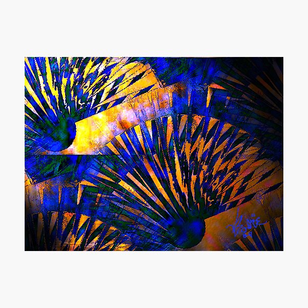 Fans of Blue and Copper Photographic Print