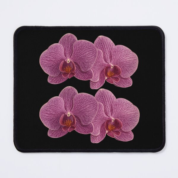 Item preview, Orchid - Phalaenopsis designed and sold by Juzzy72.