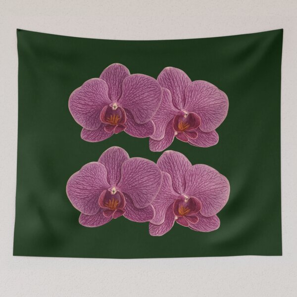 Item preview, Orchid - Phalaenopsis designed and sold by Juzzy72.