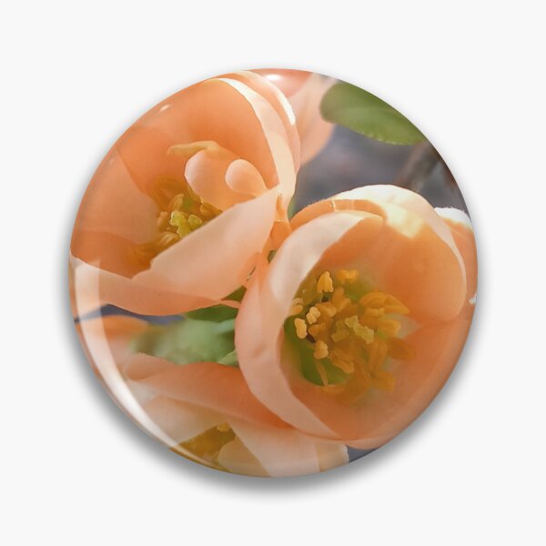 Item preview, 'Geisha Girl' Flowering Quince Shrub designed and sold by  Wild Aura.