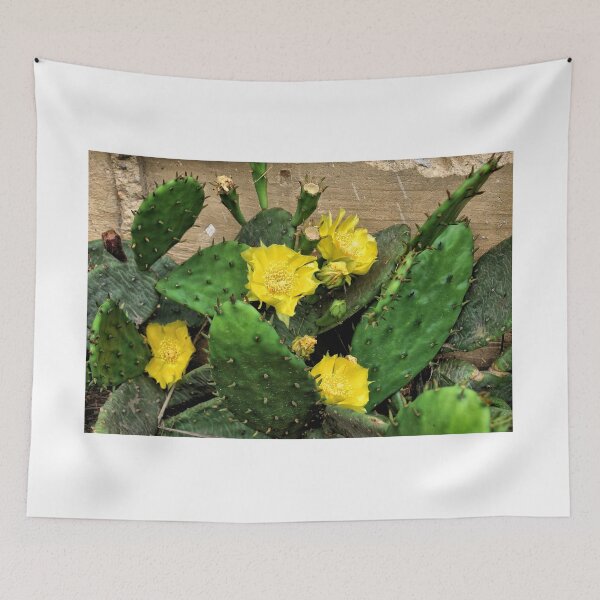 Item preview, Yellow Cactus Flowers - Pennsyvania designed and sold by jtrommer.