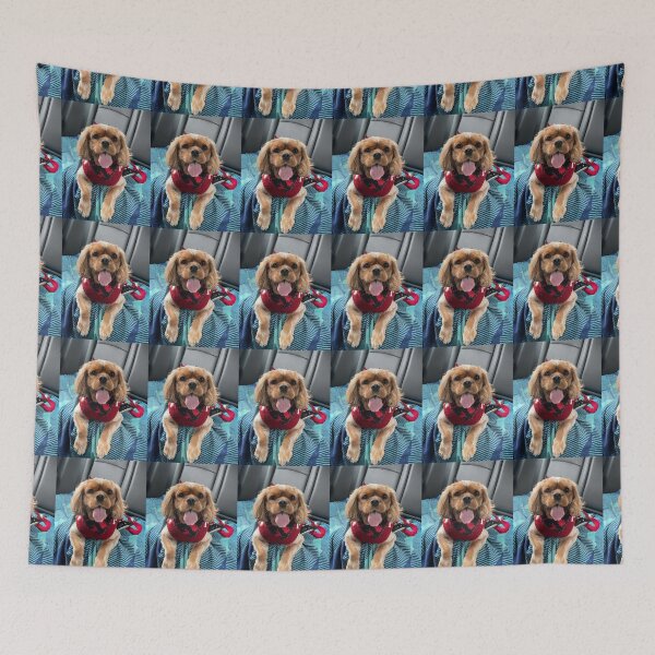 Item preview, I know I’m cute  designed and sold by lpolitano.