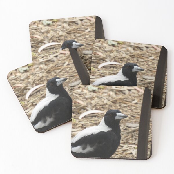 Item preview, Magpie up close designed and sold by greentiger1.