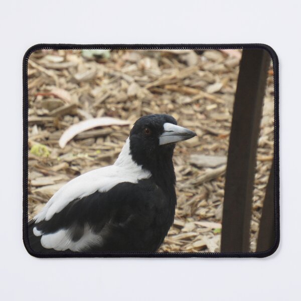 Item preview, Magpie up close designed and sold by greentiger1.