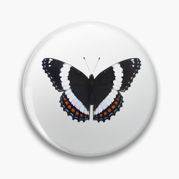 Item preview, White Admiral (Limenitis arthemis) designed and sold by HOMETOWN86.