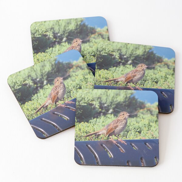 Item preview, A Sparrow Resting On a Park Bench designed and sold by BackyardBirder.