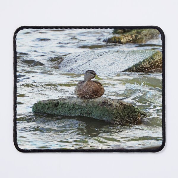 Item preview, A Duck Resting On a Rock In The Water designed and sold by BackyardBirder.