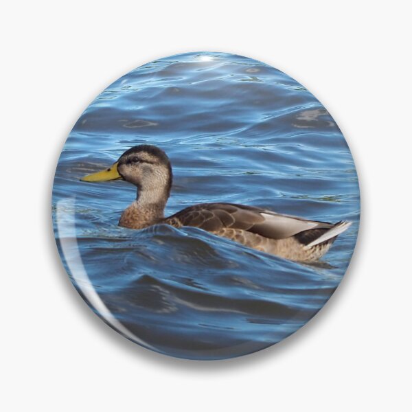 Item preview, Three Ducks Swimming designed and sold by BackyardBirder.