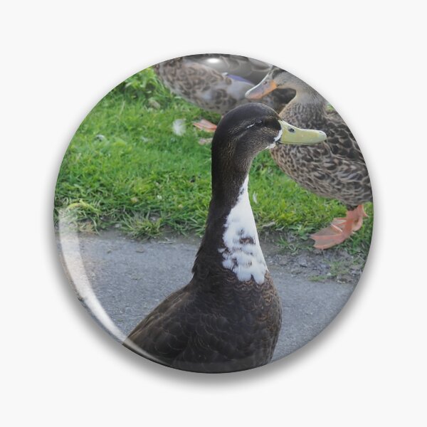 Item preview, A Brown Duck With a White Chest designed and sold by BackyardBirder.