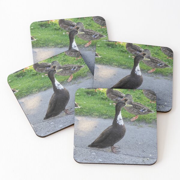 Item preview, A Brown Duck With a White Chest designed and sold by BackyardBirder.