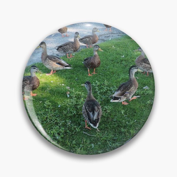Item preview, Multiple Ducks at The Park designed and sold by BackyardBirder.