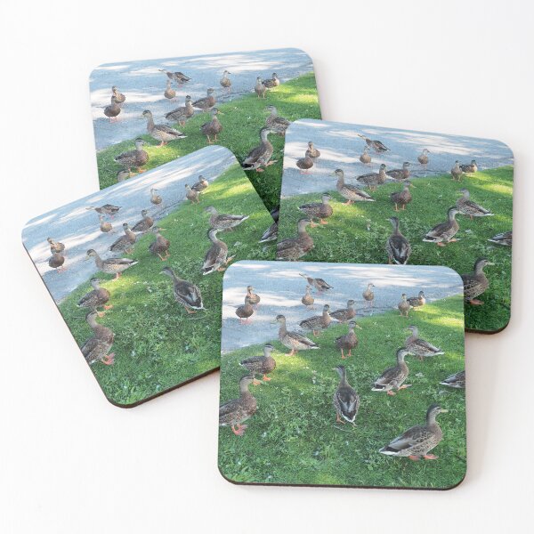 Item preview, Varios patos en el parque designed and sold by BackyardBirder.