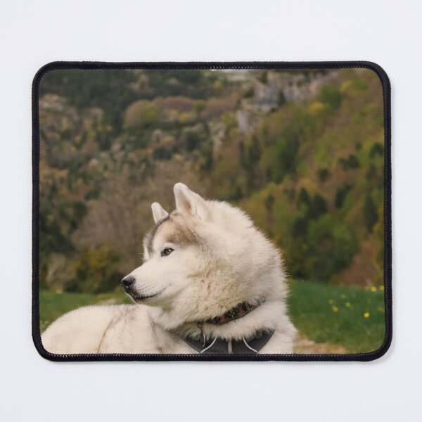 Item preview, Husky Carrie Underwood aResting in Mountain Meadow designed and sold by Danielaadvant.