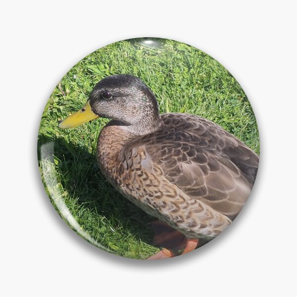 Item preview, Multiple Ducks In The Grass designed and sold by BackyardBirder.