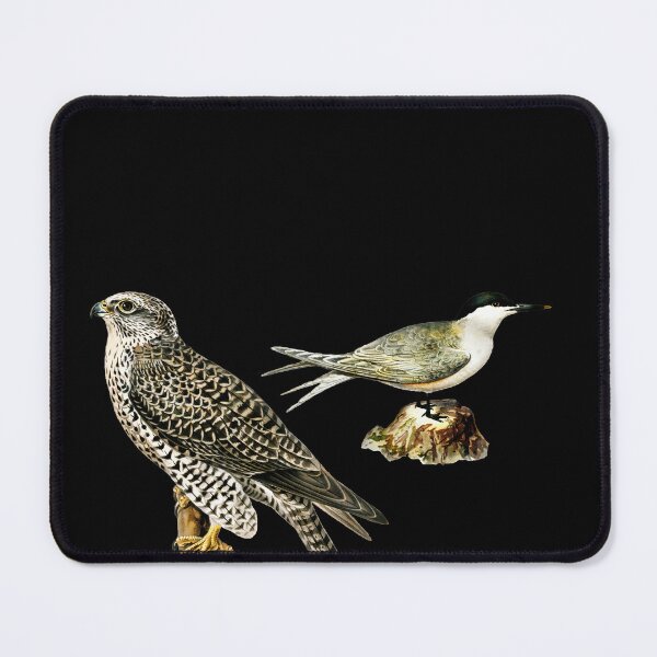 Item preview, Bird Chatter. designed and sold by Demetria3.