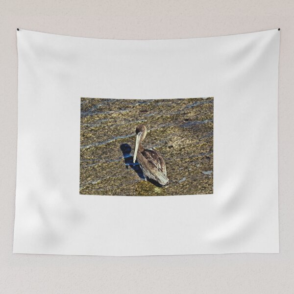 Item preview, Brown Pelican 2 - Florida designed and sold by jtrommer.