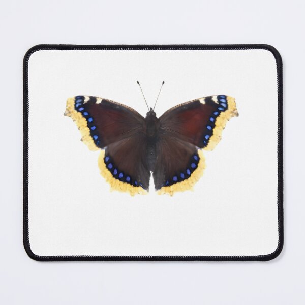 Item preview, Mourning Cloak (Nymphalis antiopa) designed and sold by HOMETOWN86.