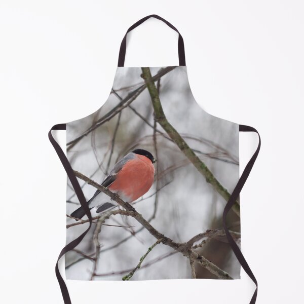 Item preview, Gray day red bird. Eurasian bullfinch Winter 2026 designed and sold by Jouko Lehto Photography.