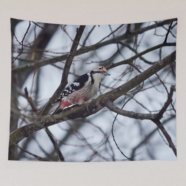 Item preview, The male. White-backed woodpecker Winter 2026 designed and sold by Jouko Lehto Photography.