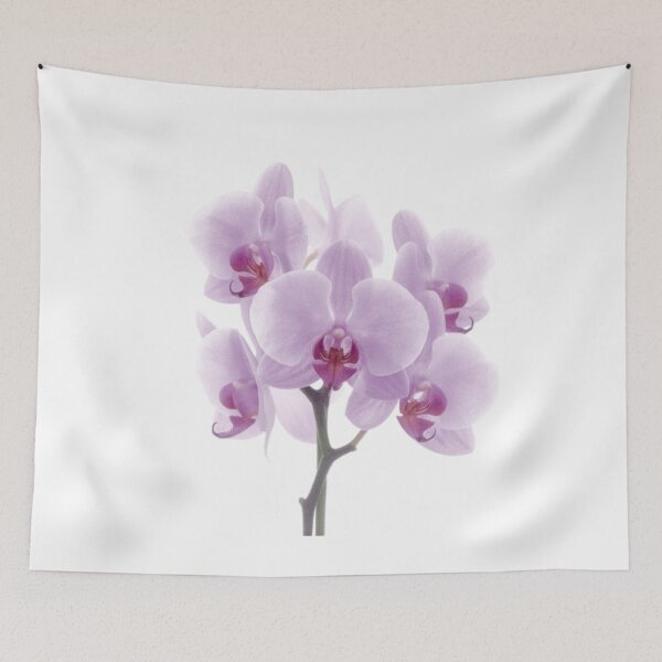 Item preview, Orchid Watercolor Botanical Wall Art – Soft Floral Nature Home Decor designed and sold by sana designer.
