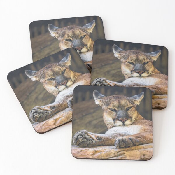 Item preview, Desert Monarch: The Resting Cougar designed and sold by TheHikersEye.