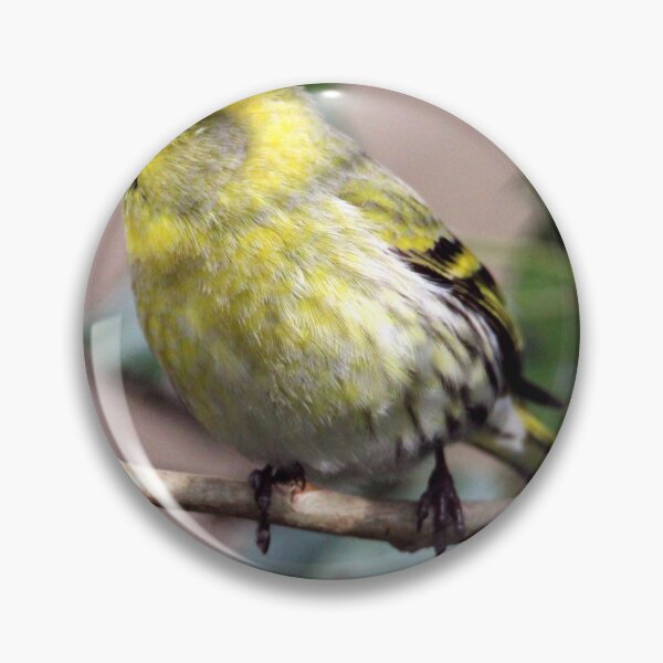 Item preview, siskin designed and sold by KathleenDawson.