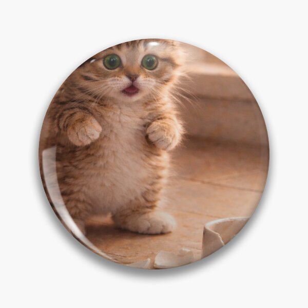 Item preview, Little Accident, Big Feelings Cat designed and sold by LovelyCatGalaxy.